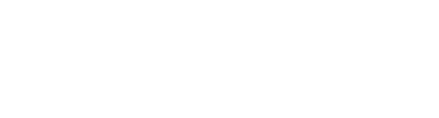 Elementos Metrópoli